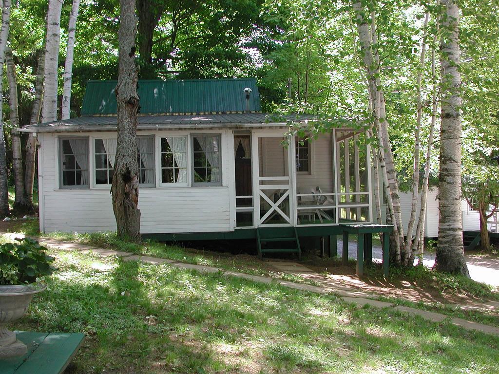 Birch Cliff Lodge On Baptiste Lake Highland Grove Pokoj fotografie