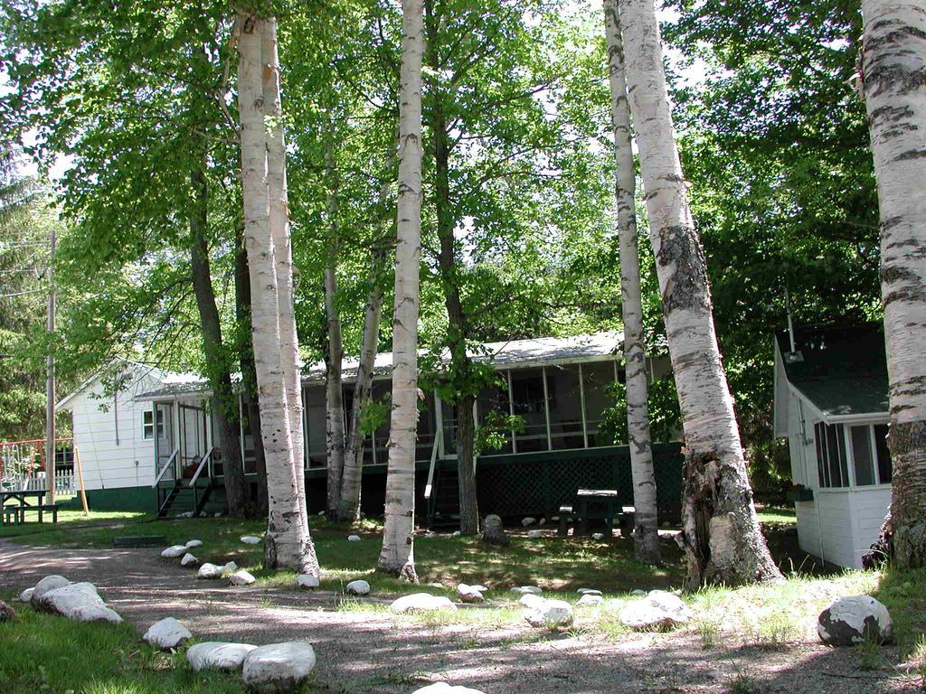 Birch Cliff Lodge On Baptiste Lake Highland Grove Pokoj fotografie